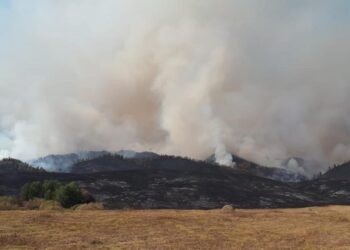 Күршім ауданында 300 гектарға жайылған дала өрті ауыздықталмай жатыр