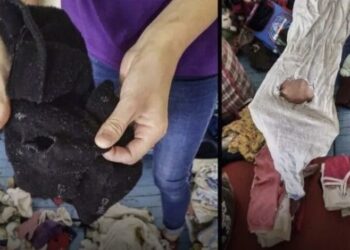 Киім лас-лас әрі тесік: Қостанайға жеткен гуманитарлық көмек елді шошытты