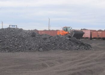 ЖЫЛУ МАУСЫМЫНА ДАЙЫНДЫҚ ҚАЛАЙ?