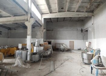 ЕГІН САЛЫП, ІРІ ҚАРА МАЛ ӨСІРЕДІ