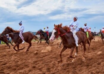 «ҰЛЫ ДАЛА ЖОРЫҒЫ»