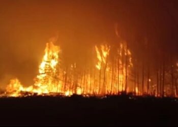 «Қасақана өрт қою» нұсқасын жоққа шығармаймыз – Министр Қостанай облысындағы төтенше жағдай туралы айтты