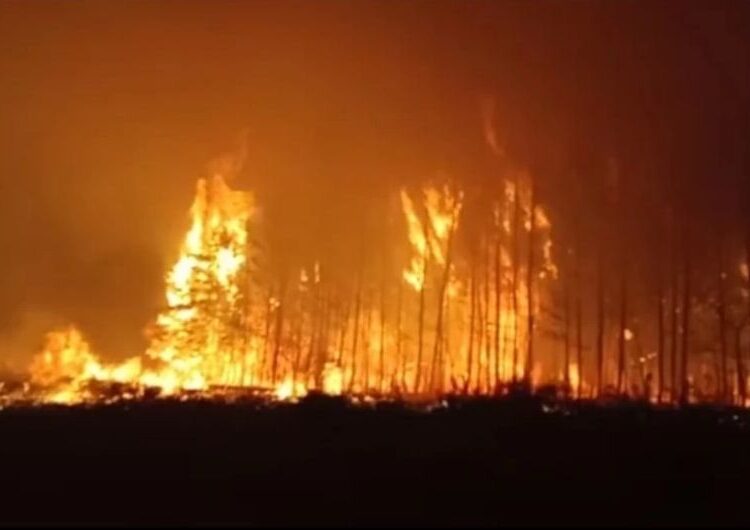 «Қасақана өрт қою» нұсқасын жоққа шығармаймыз – Министр Қостанай облысындағы төтенше жағдай туралы айтты