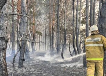 Қостанай облысындағы өрт: «Залалды қалпына келтіруге бір ғасыр керек»