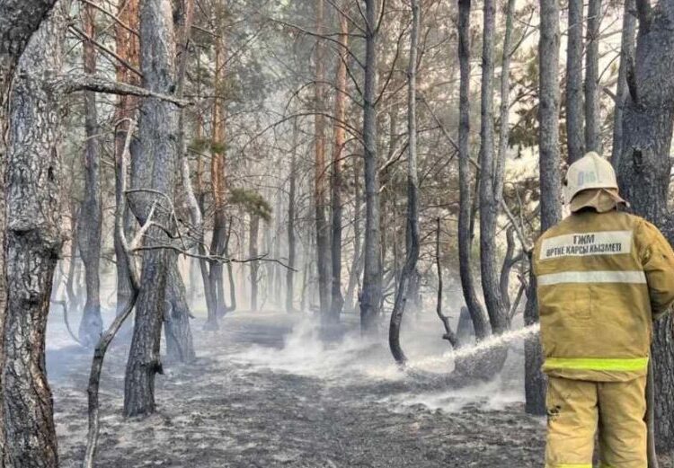Қостанай облысындағы өрт: «Залалды қалпына келтіруге бір ғасыр керек»