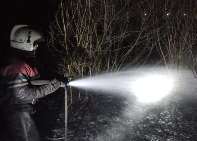 Семейде жеке сектор маңында қамыс өртенді