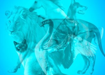 Психологиялық тест: Қай жануарды бірінші көрдіңіз?!