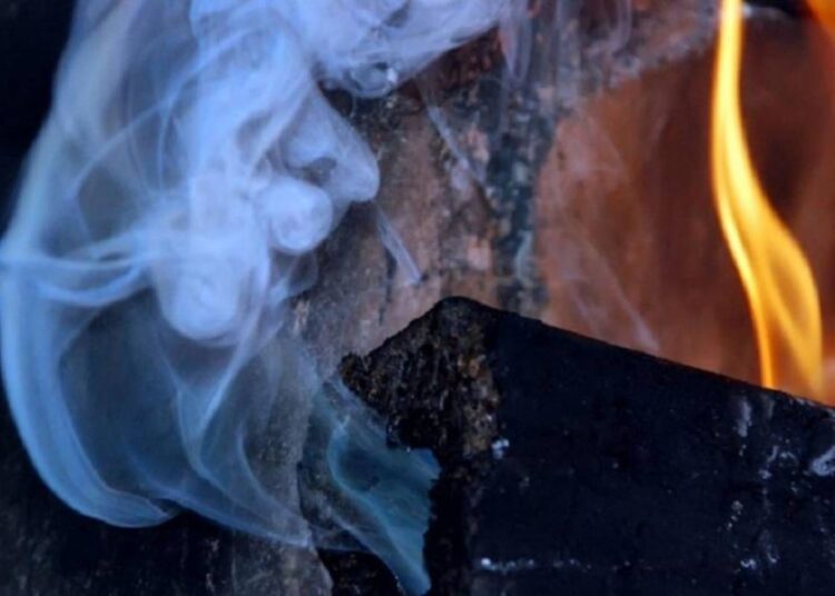 Абай облысында анасы мен 5 баласы ыстан уланып ауруханаға түсті