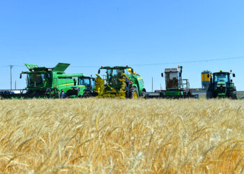 ӨСІМДІК ШАРУАШЫЛЫҒЫНЫҢ ҮЛЕСІ АРТЫП КЕЛЕДІ