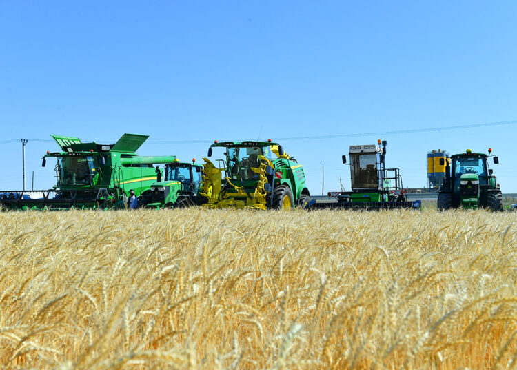 ӨСІМДІК ШАРУАШЫЛЫҒЫНЫҢ ҮЛЕСІ АРТЫП КЕЛЕДІ