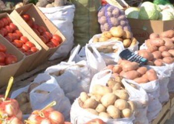 ШЫҒЫСТЫҢ ӨНІМДЕРІ ЕЛОРДАДА САУДАЛАНДЫ