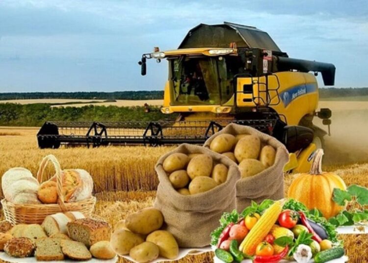 ЖАҢА ЖОБАЛАР ҚОЛҒА АЛЫНУДА