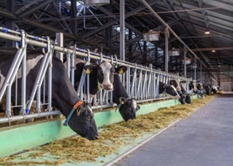 КҮЗДІҢ БІР КҮНІ – ЖЫЛҒА АЗЫҚ