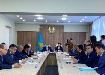 МӘСЛИХАТТЫҢ КЕЗЕКТЕН ТЫС СЕССИЯСЫ