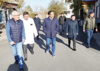 ЕМДЕУ МЕКЕМЕЛЕРІНІҢ ЖАҒДАЙЫ ӘКІМ НАЗАРЫНДА