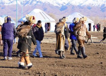 Абай облысында құсбегіліктен бірінші халықаралық чемпионат аяқталды