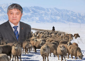 Еркін ҚАСЫМОВ: АБАЙ ОБЛЫСЫНЫҢ АУЫЛ ШАРУАШЫЛЫҒЫН ДАМЫТУҒА АЙРЫҚША НАЗАР АУДАРУ ҚАЖЕТ