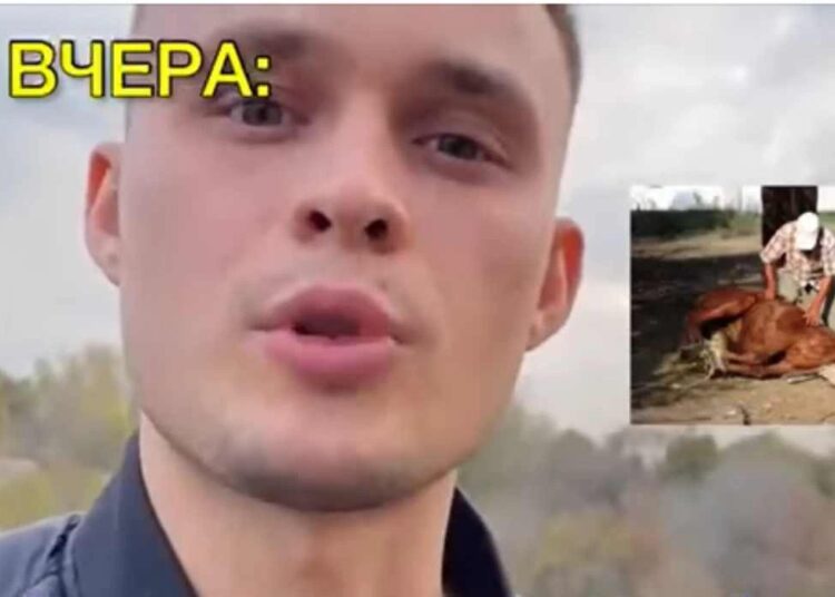 Ресейден келген мигрант жылқыны союдан қорғау науқанын бастады