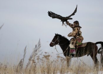 ШҚО-да халықаралық бүркітшілер сайысы өтеді