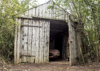 Теміртауда 16 жасар баланы гаражға қамап асырап келген