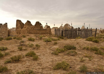 Алматы облысында 61 жастағы қария зиратта тұрып жатыр (ВИДЕО)