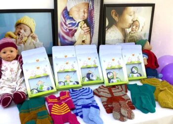 ЖЫЛЫНА 500-600 НӘРЕСТЕ МЕРЗІМІНЕН ЕРТЕ ДҮНИЕГЕ КЕЛЕДІ