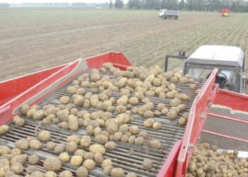 ЕГІН НАУҚАНЫ СӘТТІ АЯҚТАЛДЫ