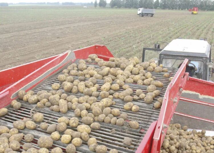 ЕГІН НАУҚАНЫ СӘТТІ АЯҚТАЛДЫ