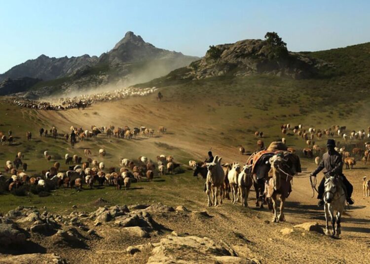 «Қазақ ешуақытта көшпенді болған емес, қазақ — отырықшы»