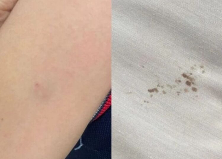 Шымкентте мұғалім сыныптың көзінше оқушының қолына қалам тығып алған