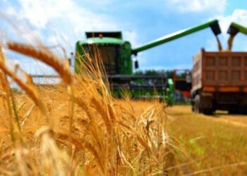 Көкпекті ауданында егін шаруашылығы саласында соңғы технологиялар қолданылуда