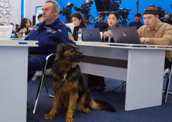 Түркияда 3 адамды құтқарған ит брифинг алаңына келді