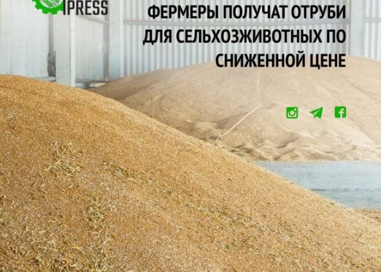 Маңғыстаулық фермерлер малға кебекті төмен бағамен алады