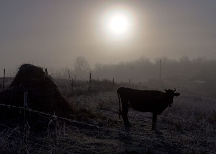 Өмірбекті тілден қалдырған құбыжық