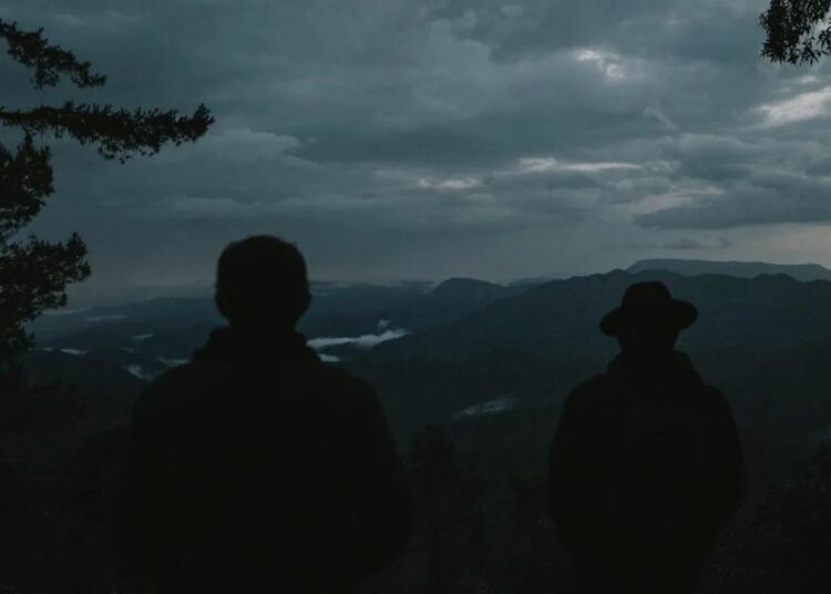 Тарбағатай жайлауында Кісікиікке кез болған жігіт бір өлімнен қалды