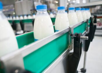 Көкпекті ауданында екі сүт тауарлы ферма мен сүт өңдейтін зауыт ашылады