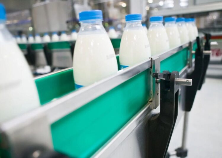 Көкпекті ауданында екі сүт тауарлы ферма мен сүт өңдейтін зауыт ашылады