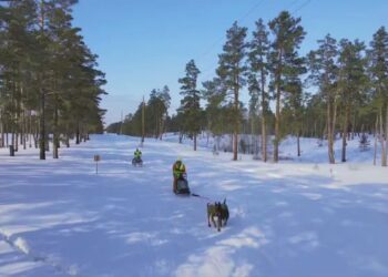 Семейде қысқы демалысты қалай өткізуге болады