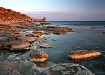 Каспий теңізінің жағасынан 18 адамның сүйегі табылды