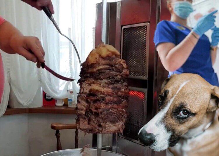 «Барлық өңірде бар» Қазақстанда иттің етін сату бизнеске айналған