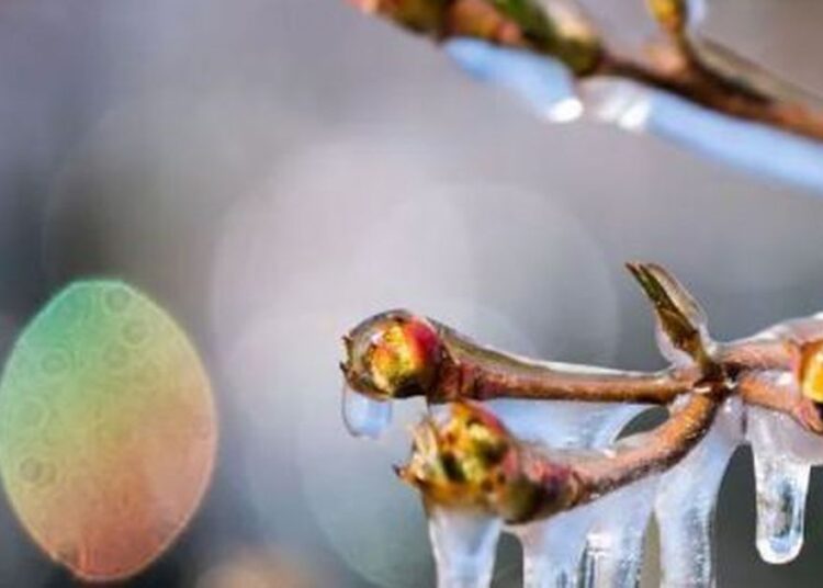 -22 градус аяз күтіледі: алдағы күндері ауа райы қандай болады?