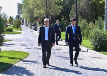 «Әкімдер жаяу жүрсін»: Тоқаев Қазақстандағы қалалардың тазалығын сынады