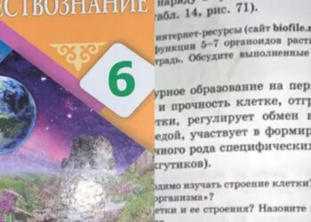 6-сыныпқа арналған оқулықтағы сілтеме порносайтқа өтеді