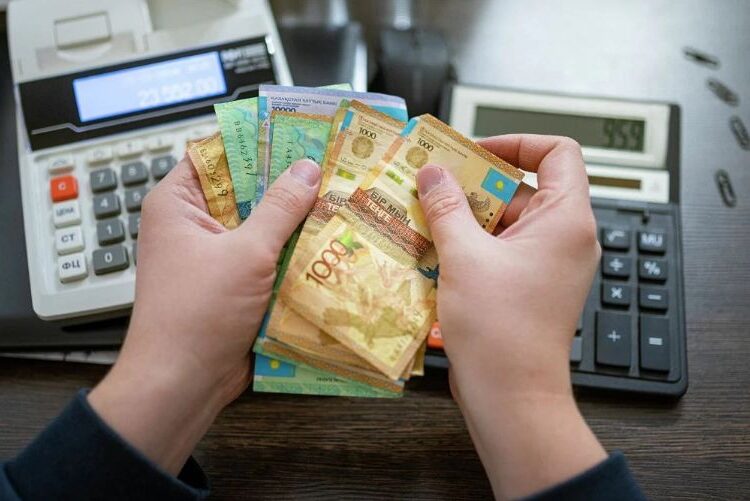 Қазақстанда микронесие беруге тыйым салынбақ