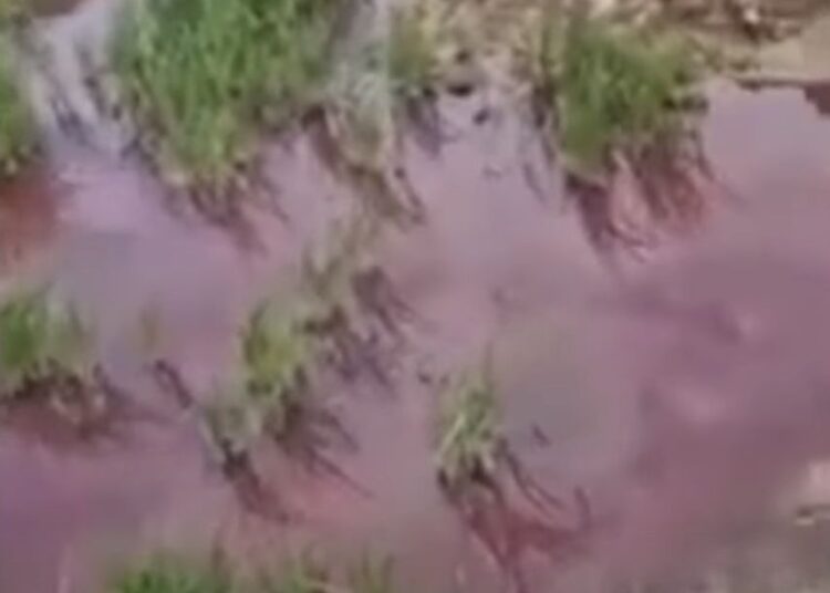 Ауылдың малы ішетін, егінін суаратын бұлақ қанға боялған