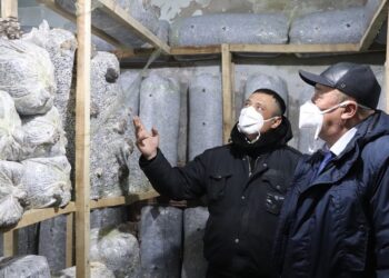 Көкпектілік жастардың тың бастамасы