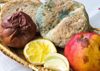 Астанада қарттар үйінен қуылған кейуана барлық шындықты айтты