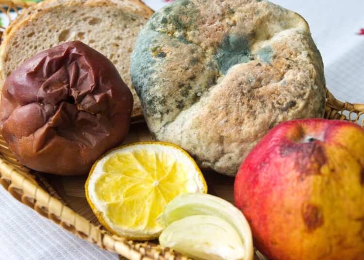 Астанада қарттар үйінен қуылған кейуана барлық шындықты айтты