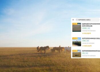 Қытай сайттарында Қазақстанның жерлері сатылып жатқаны рас па?