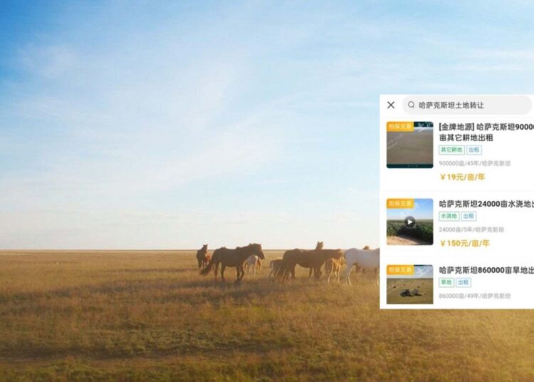 Қытай сайттарында Қазақстанның жерлері сатылып жатқаны рас па?